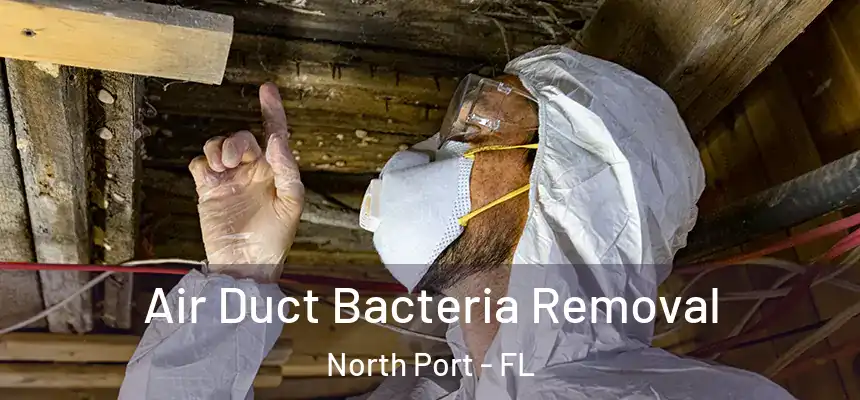 Air Duct Bacteria Removal North Port - FL
