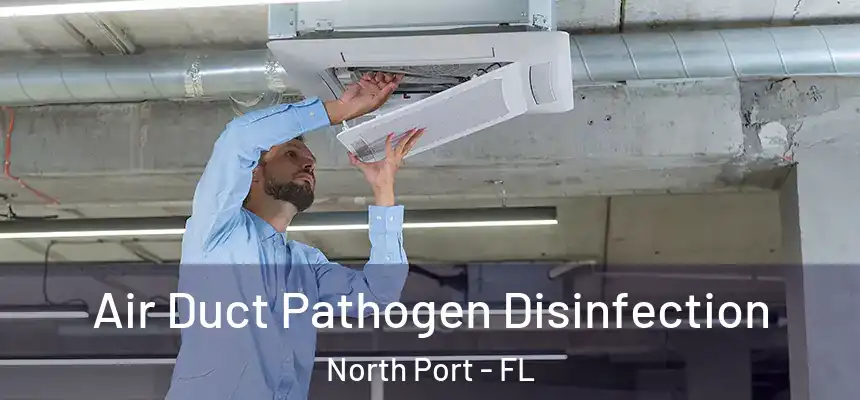  Air Duct Pathogen Disinfection North Port - FL