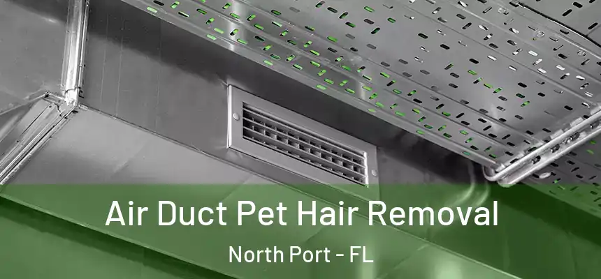 Air Duct Pet Hair Removal North Port - FL