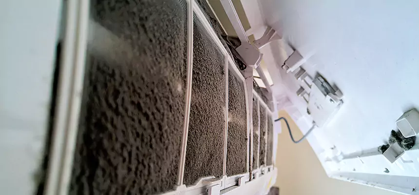 Preventive Air Duct Bacteria Removal in North Port