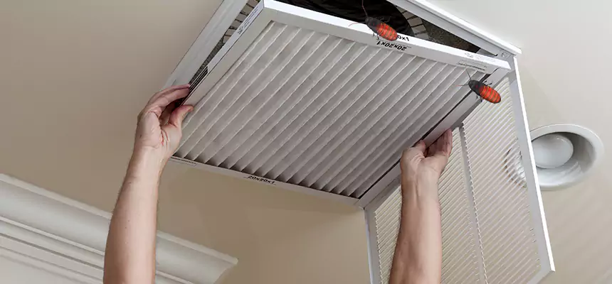 Preventive Cockroach-Proofing for Ducts in North Port