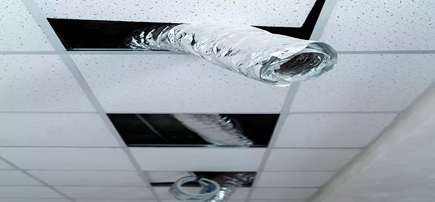 Our Air Duct Pet Hair Removal Services in North Port, FL