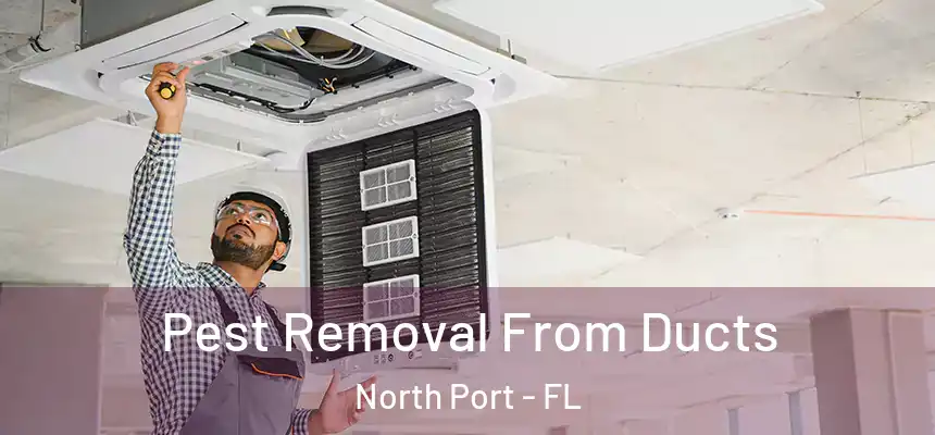  Pest Removal From Ducts North Port - FL