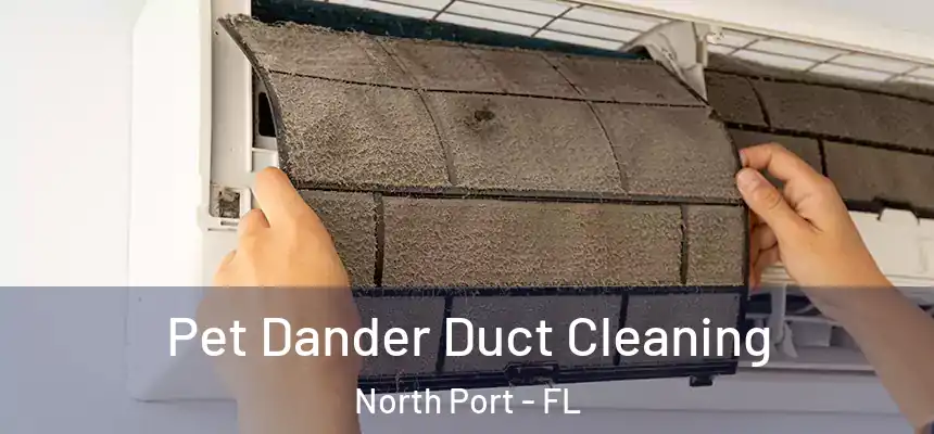 Pet Dander Duct Cleaning North Port - FL