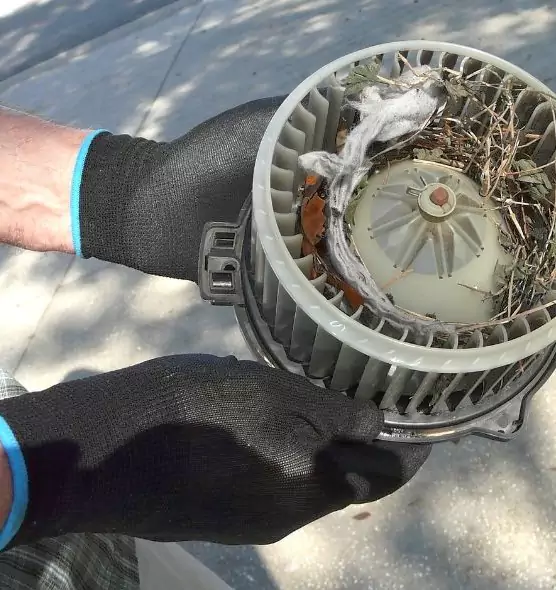 About Air Duct Mice Removal in North Port, FL