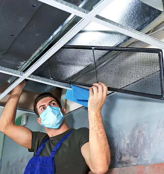 Professional Air Duct Pollen Cleaning in North Port, FL