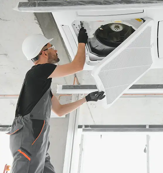 About Air Duct Rodent Removal in North Port, FL