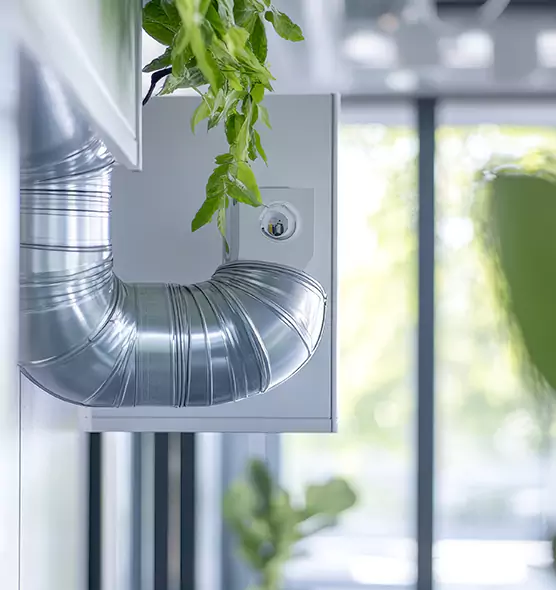 Professional Eco-Safe Dryer Vent Cleaning in North Port, FL