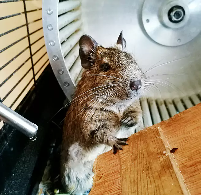 Why Homeowners & Businesses Trust Us North Port, FL?