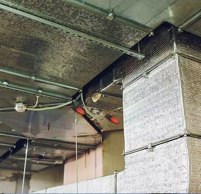 Why Homeowners & Businesses Trust Us North Port, FL?