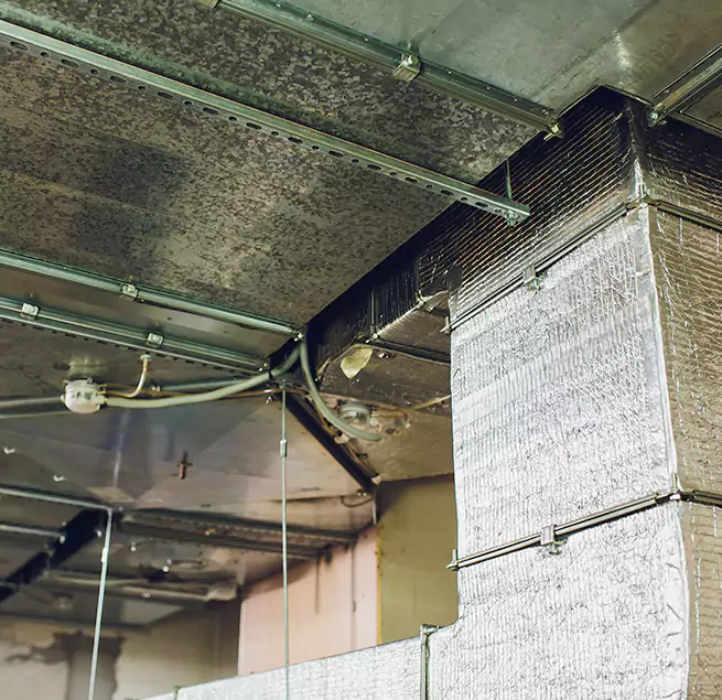 Why Homeowners & Businesses Trust Us in North Port, FL?